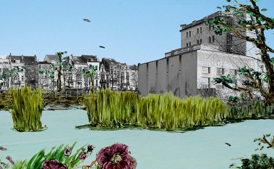 Portolio Image